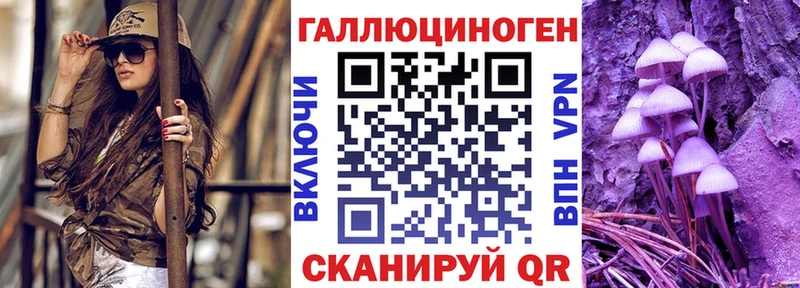 сколько стоит Фрязино Псилоцибиновые грибы MAGIC MUSHROOMS