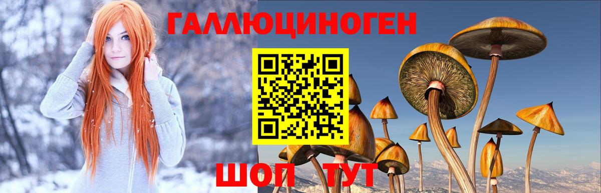 Фрязино  Галлюциногенные грибы прущие грибы  Вход с VPN 